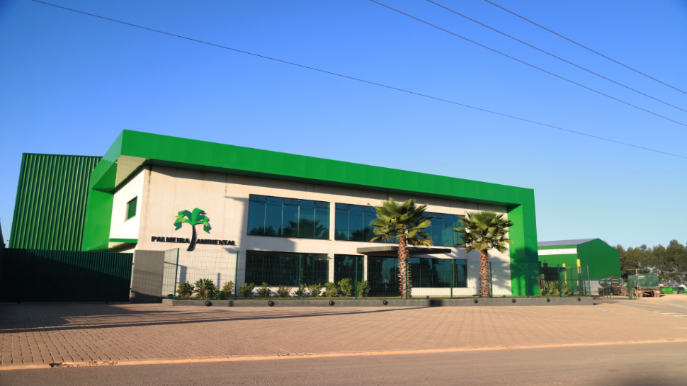 Palmeira Ambiental